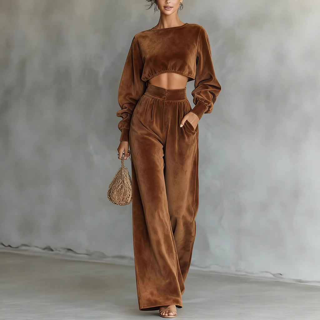 Velvet Cropped Top Wide Leg Pants Set