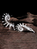 Conch Stud Earrings