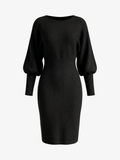 Crewneck Long Sleeve Fitted Knit Bodycon Dress