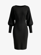 Crewneck Long Sleeve Fitted Knit Bodycon Dress