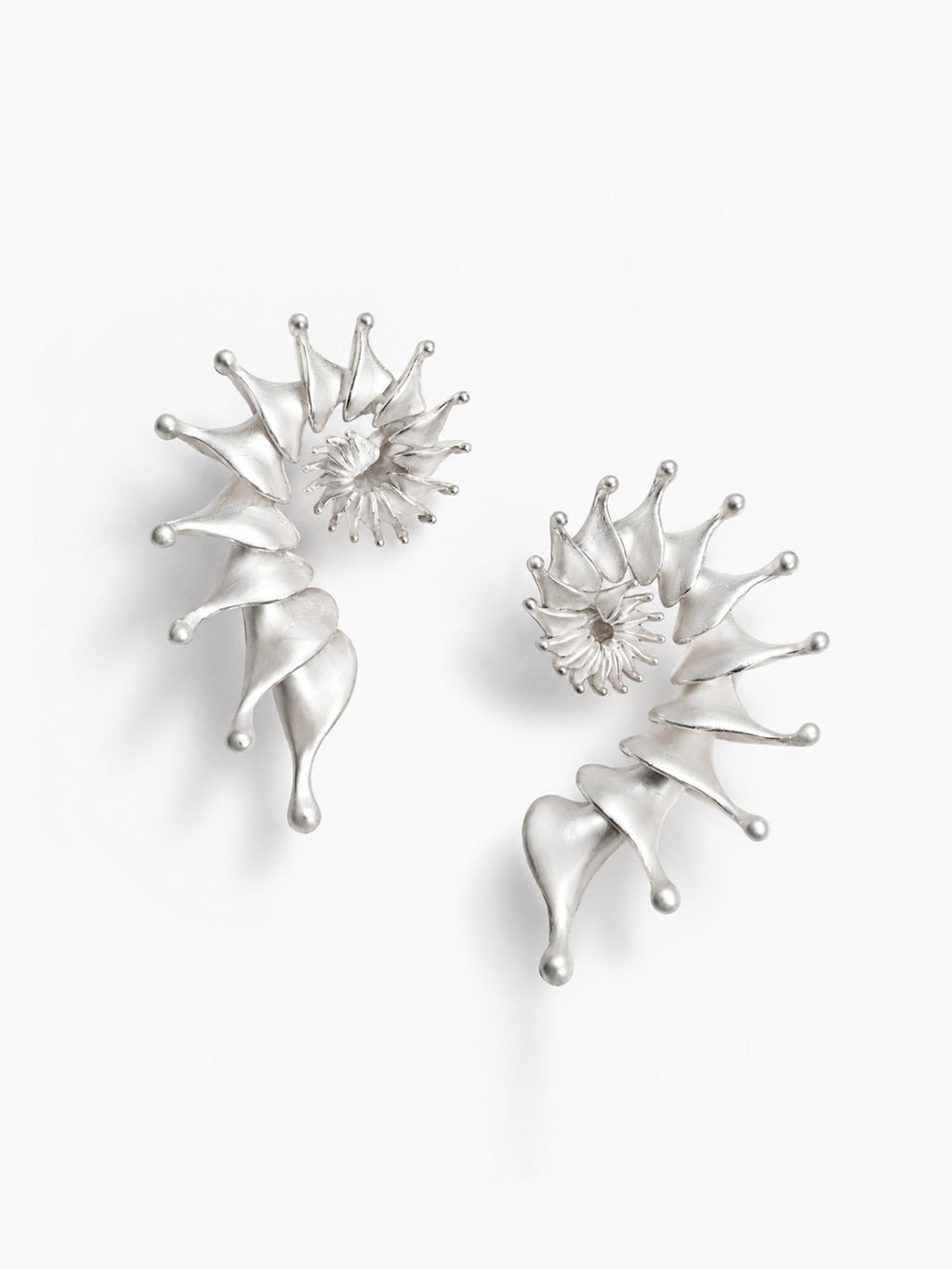 Conch Stud Earrings