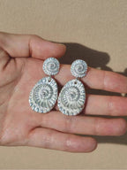 Conch Fossil Texture Earrings